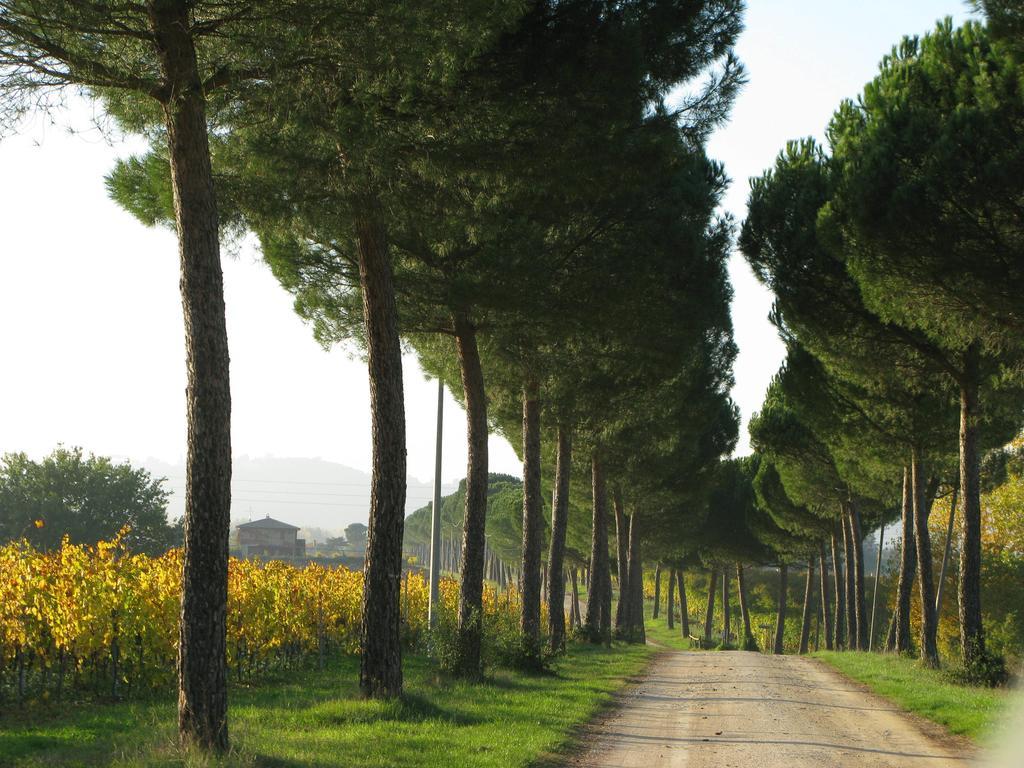 Poggio Alle Vigne ตอร์จาโน ภายนอก รูปภาพ
