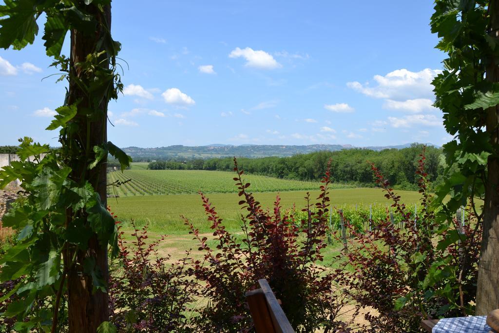 Poggio Alle Vigne ตอร์จาโน ภายนอก รูปภาพ